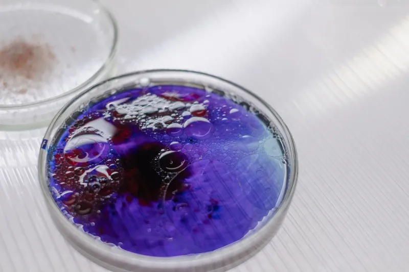 The Cellular Archive: Why Lab-Grown Tissue Never Truly Forgets Where It Came From